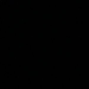 Meet your Posher, Isabel